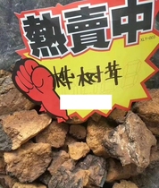 One pound of wild birch velvet Imported from Russia 1 pound of birch brown hole fungus tea Black gold particles Huashu White birch velvet