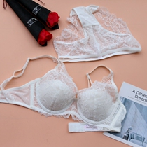 Pure desire European and American lingerie ladies sexy lace bra with steel ring Coaly Chest small and thin style bra suit