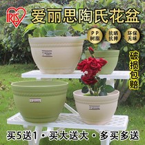 Alice resin round large flowerpot balcony garden fleshy rose green rose potted plant pottery flowerpot