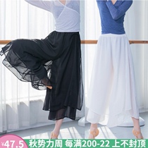 Classical Chinese style modern dance practice suit womens double-layer chiffon skirt shows loose split wide-legged pants