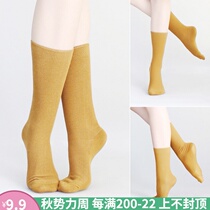 Modern ballet dance indoor practice socks female non-slip warm mid-tube socks Adult leggings pile socks solid color