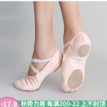 Adult dance shoes upgrade elastic soft-soled practice shoes modern ethnic body cat claw dance girls ballet shoes