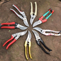 Gardening scissors Pruning shears Labor-saving garden scissors Household fruit tree branches strong SK5 picking thin fruit scissors