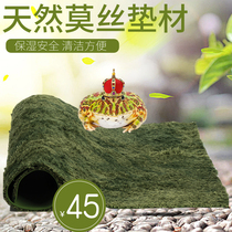 Reptile Box Moss Bottom Mat Snake Mane Lizard Palate Corner Frog Tortoise Mat material Moss Tortoise Mat material Moss View ground mat material