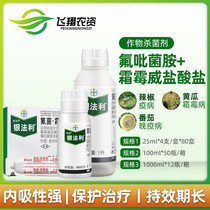 Germany Bayer Silver Farley Downy mildew Wei grape cucumber downy mildew late blight pesticide fungicide 25-100ml