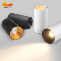 Surface mounted spotlight LED ceiling type 7W free hole CREE round golden Nordic living room corridor COB anti-glare downlight