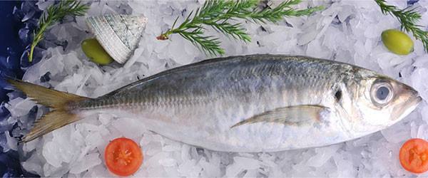 我放进冰箱的鱼坏了原来是这个原因