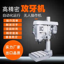 High precision automatic multi-axis tapping machine Vertical gear Desktop pneumatic tapping machine CNC servo industrial type