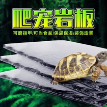 Climbing Darling Reptile Lizard Land Turtle Slate Tortoise Platter Stone Pan Stone Basin Moisturizing Insulation Mill Chia Natural Rock Plate Climbing Spotting Box
