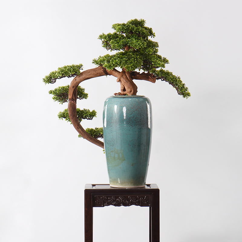 New Chinese style ceramic flower art simulation guest - the greeting pine tree furnishing articles example room pot sitting room porch teahouse hotel decoration