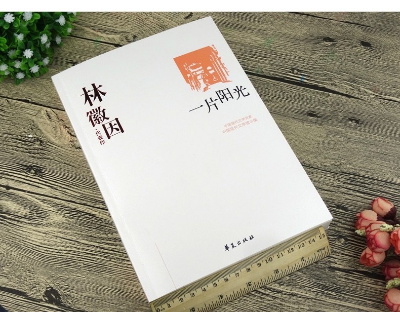 展示与对比:林徽因代表作 一片阳光 全本 林徽因小传 散文 小说 诗歌