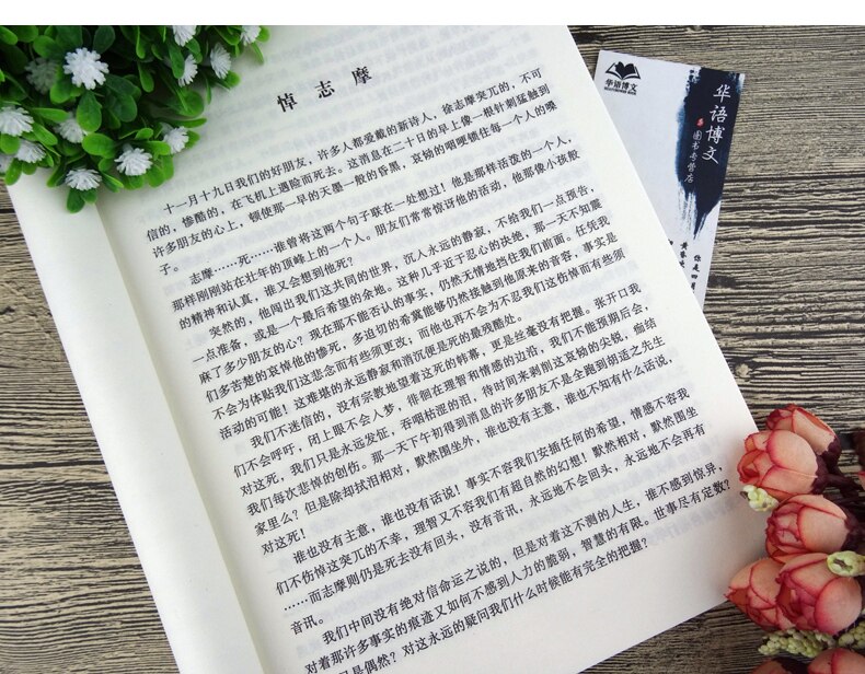 展示与对比:林徽因代表作 一片阳光 全本 林徽因小传 散文 小说 诗歌