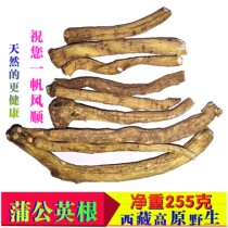 Dandelion original root 255g Tibet Snowy plateau wild flower root non-vine liver and stomach health tea can be ground