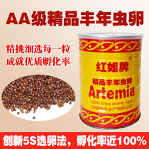 Big red eggs Red Sister brand boutique new eggs can hatch in abundance Shrimp eggs fish shrimp seedlings Colorful peacock food fish open feed