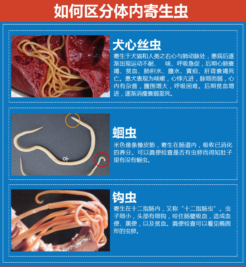 福来恩犬心保宠物狗狗体内驱虫心丝虫犬心宝中型犬边牧柴犬打虫片