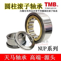 Tianma TMB bearing cylindrical roller bearing NUP211-complete model