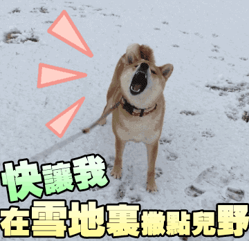 360_349gif 动态图 动图