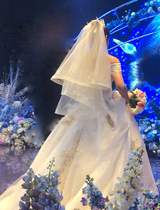 2019 new shiny bronzing veil short travel veil bridal wedding veil light champagne color net red veil