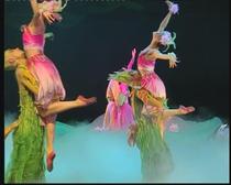 Dance Drama Peony Pavilion DVD Ying Zhiqi