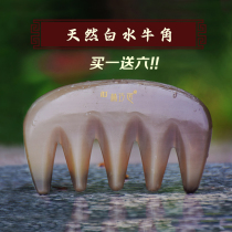 Massage comb head meridian comb pure white buffalo horn comb natural anti-big tooth comb hair loss can be engraved gift