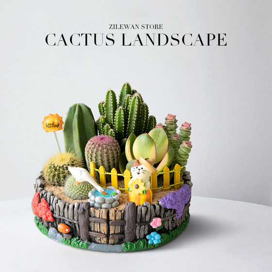 Succulent indoor potted plant office desktop small cactus cactus flowers money string green plant ornament gift
Succulent indoor potted plant office desktop small cactus cactus flowers money string green plant ornament gift