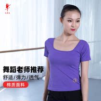 Red dance shoes dance practice clothes body tops womens cotton stretch short-sleeved ballet Chinese dance Latin clothes 38077