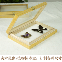 With hinge 33 * 22 * 5 5cm solid wood insect specimen box plant specimen display box butterfly specimen photo frame