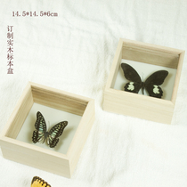 14 5 * 14 5 * 6cm solid wood insect specimen box transparent display case butterfly specimen photo frame Corner Fairy box