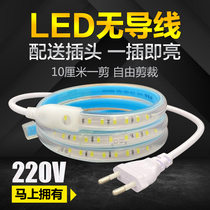 Outdoor led light strip 220V super bright waterproof living room strip free cutting adhesive ceiling decorative linear light strip