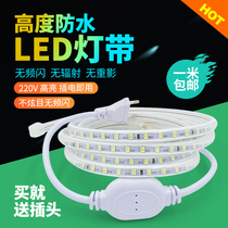 led light with living room advertising light box self-adhesive blue super bright waterproof strip cutting home 220V ceiling Outdoor