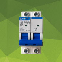 CHINT Mini Circuit breaker NXB-63Z 1P 2P 3P 4P Open 16A 20A 25A 32A 40A 63A