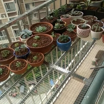 Anti-rat net Galvanized net Welded net Balcony anti-fall net Bird cage net Anti-theft net Barbed wire breeding