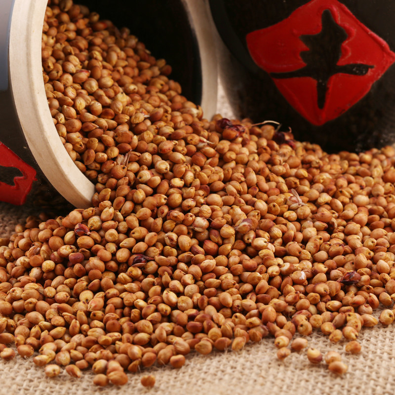 自家现磨 高粱米粉 高粱面 红高粱粉 养生 粗粮面粉500克