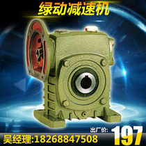 Factory Direct Reducer Vertical WPDKS50 60 70 80 Iron Shell Worm Vertical Reducer