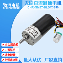 Factory direct GM37BL3650 DC brushless gear motor with stepless speed control knob DC12V 24V