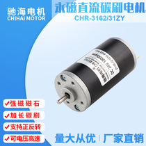 Gallop manufacturer direct sales diameter 31 RS3162 permanent magnet tubular DC motor motor with adjustable speed can be positively inverted