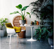 Dining chair hotel chair Rice Husk chair Muscle chair designer FRP rice field chair hotel leisure negotiation chair