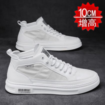 Summer heightening shoes mens 10cm men sneakers casual shoes Han prints 100 hitchhiking teen shoes mens boomer shoes board shoes