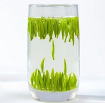 Bird tongue 2021 new tea Premium green Tea Tea Mingqian Cui Bud hair tip buds Taihu Cui Bamboo 250g bulk green tea