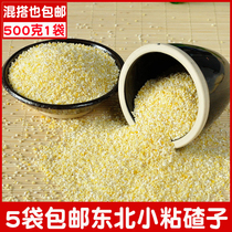 Northeast farmhouse Self-produced Sticky Small Ballast Submucus Corn Residue Submucus Bum Small Ballast Glutinous Corn 1 Catty Bag 5 Bags