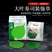 Big leaf imported sushi grass sashimi setting plate decorative cooking platter decorative green glue leaf green leaf grass 500