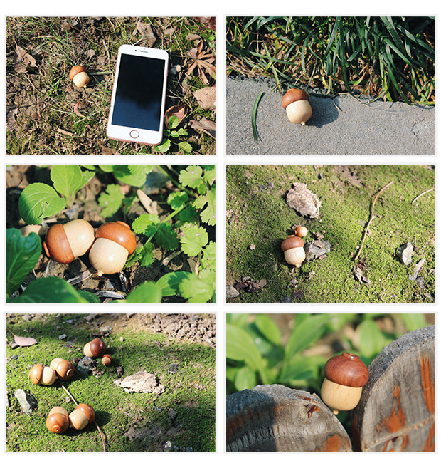 西子印社 可爱卡通姓名印章橡果名字印章定制刻儿童学生奖励印章