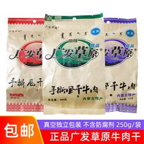 Wide Hair Prairie Bull meat Dry Inner Mongolia terfic and real hemp spicy snack packaged snacks 250g hands ripping air-dried beef