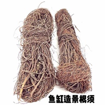 Shenmu dragon beard root landscaping branch Rhododendron root Fish tank landscaping South American landscaping Native landscaping Tree root Natural plant