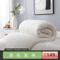 More love Xinjiang cotton quilt thickening warm winter quilt spring and autumn quilt quilt core cotton tire warm Y