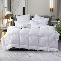 More love down quilt core 95 white goose down winter quilt thickened warm single double quilt 1 5m1 8mY