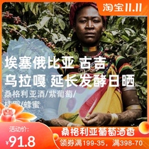 Houfu July new product Ethiopian Guji extended fermented sangria hand-washed coffee beans 227g