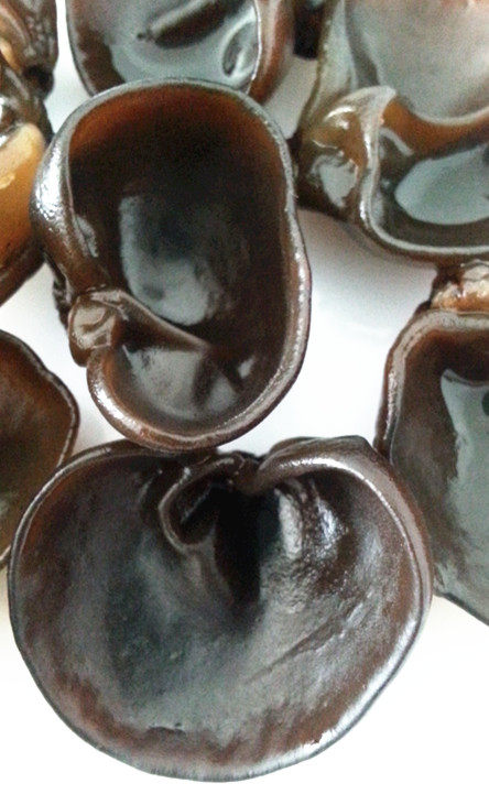 东北秋木耳 厚厚的小碗耳 无根 250g