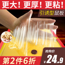 Cline insect control strong mouse paste home sticky mouse board a nest to catch the mouse the mysterious artifact drive glue end mouse