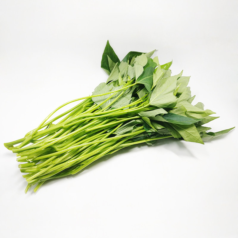 [华农鲜生]新鲜红薯叶250克绿色蔬菜甘薯叶番薯叶猪油渣炒红薯叶